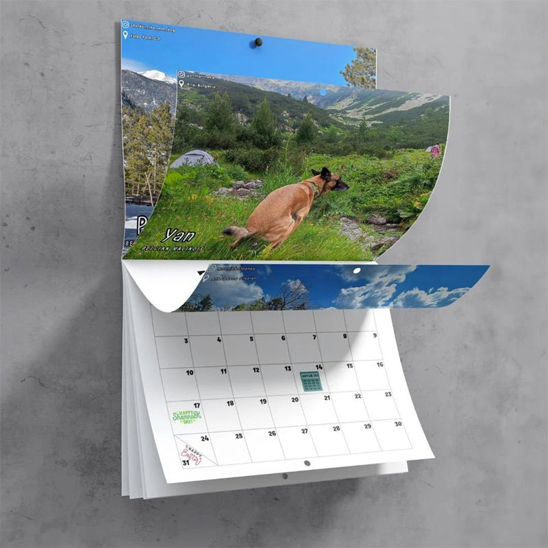 Pre-Sale>>2024 Dogs Pooping in Beautiful Places Calendar